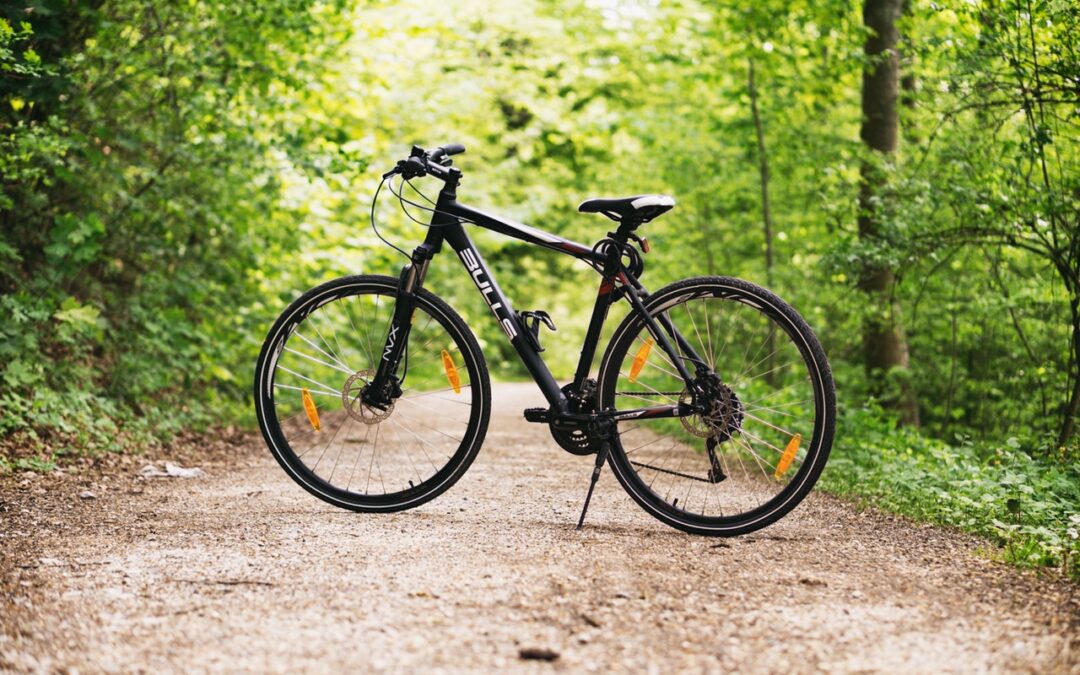 Se naturen fra dens bedste side – tag på cykeltur i det fri!
